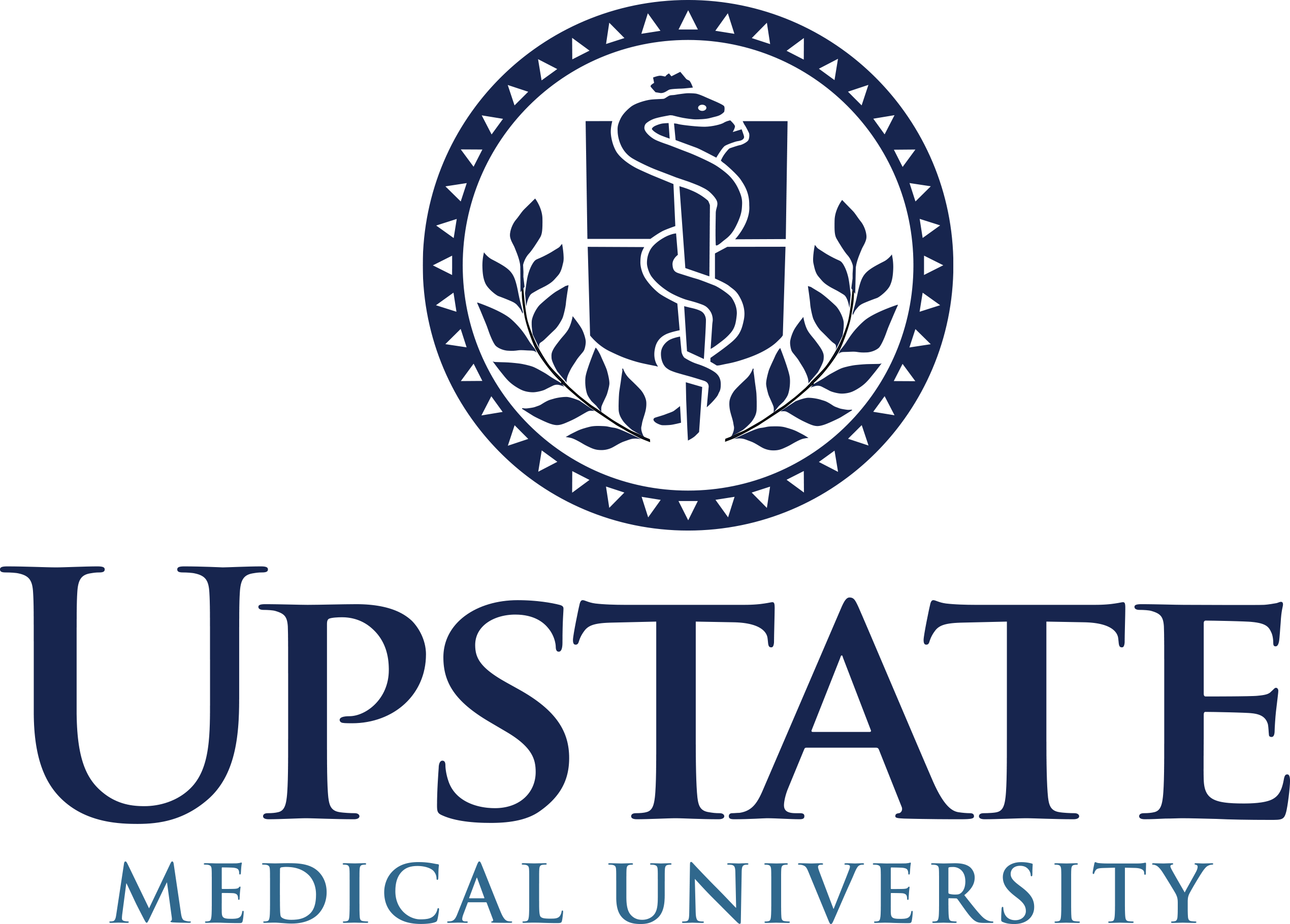 article about writing an essay unity